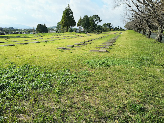 熊本市営 桃尾墓園10
