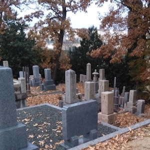 瓦口墓地